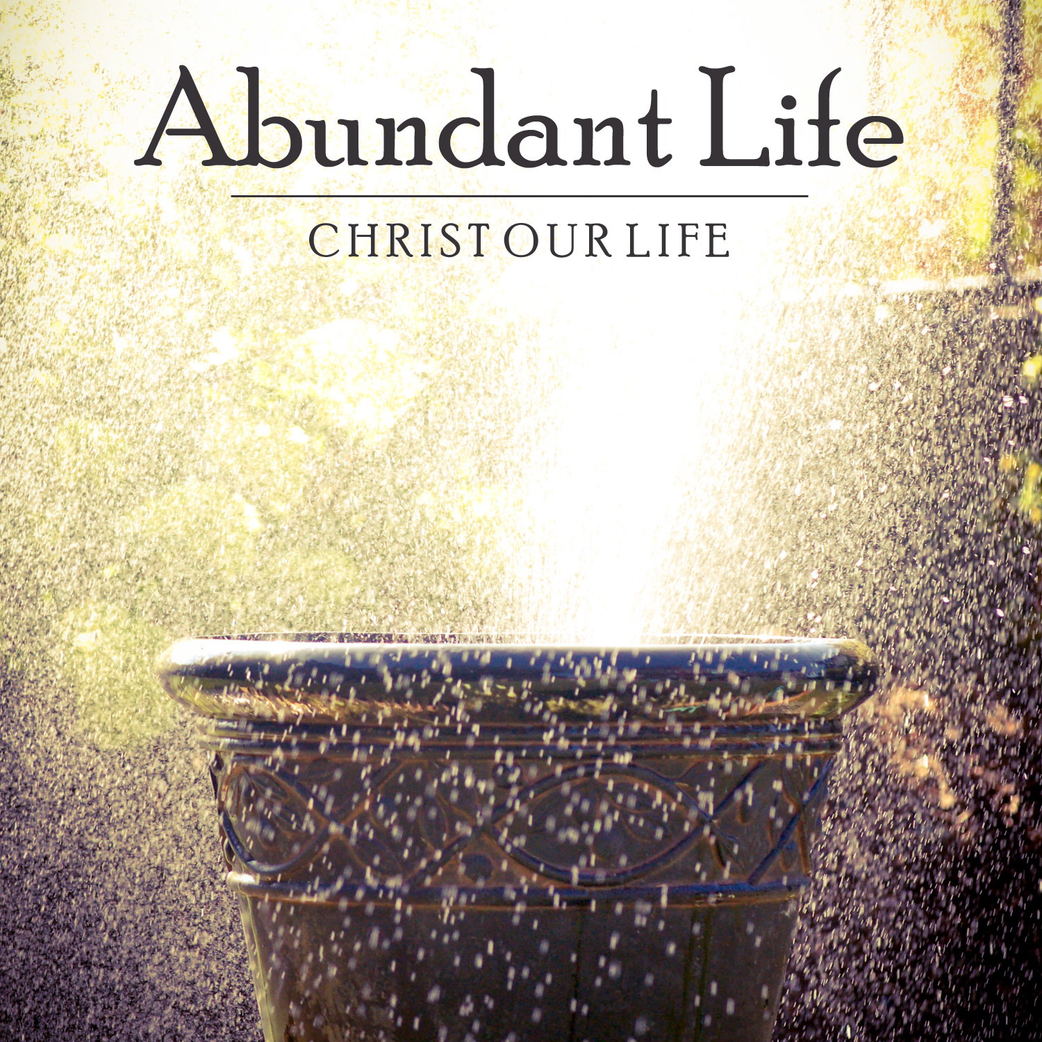 CD Cover Art   Abundant Life